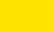 Bald Moon Yellow - 72005